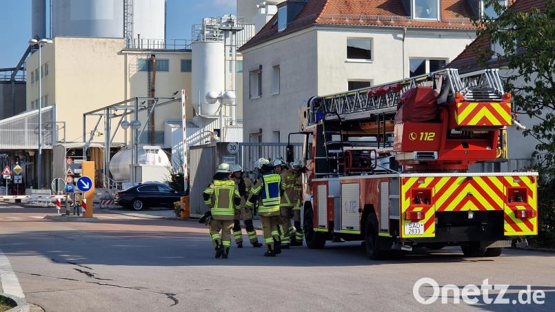 Der Schwandorfer Löschzug rückte am Montag samt Drehleiter zur Nabaltec aus. Bild: td