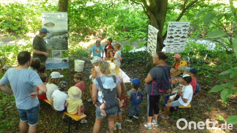 Junge Forscher erkunden beim Ferienprogramm den Rötzerbach bei Neunburg vorm Wald. Bild: Bäumler/exb