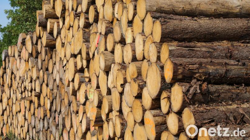 Jede Menge Holz vor der Hütten, beziehungsweise vor dem Stadtrand. Bei Theuern unterhält die Forstbetriebsgemeinschaft Amberg-Schnaittenbach einen Holzlagerplatz. Bild: Wolfgang Steinbacher