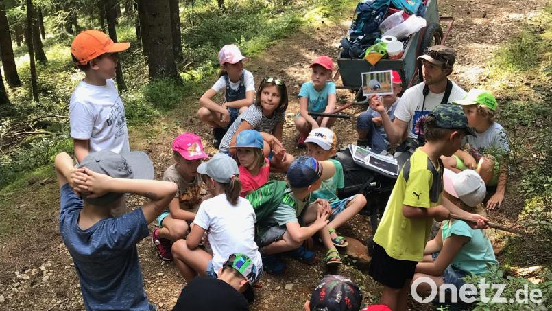 Jonas Nelhiebel zeigte den Kindern nicht nur Schaublätter, sondern stellte ihnen auch lebende Bewohner der heimischen Natur vor. Bild: gru