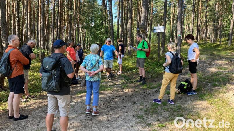 Der Frauenbund Wölsendorf wandert mit Bürgermeister Franz Grabinger auf dem Jakobsweg. Bild: Simone Weist/exb