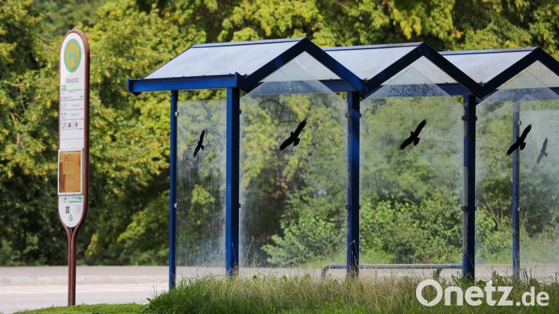 Einige Bushaltestellen in Amberg können bis Ende Dezember wegen einer Straßensperrung nicht bedient werden. Symbolbild: Wolfgang Steinbacher