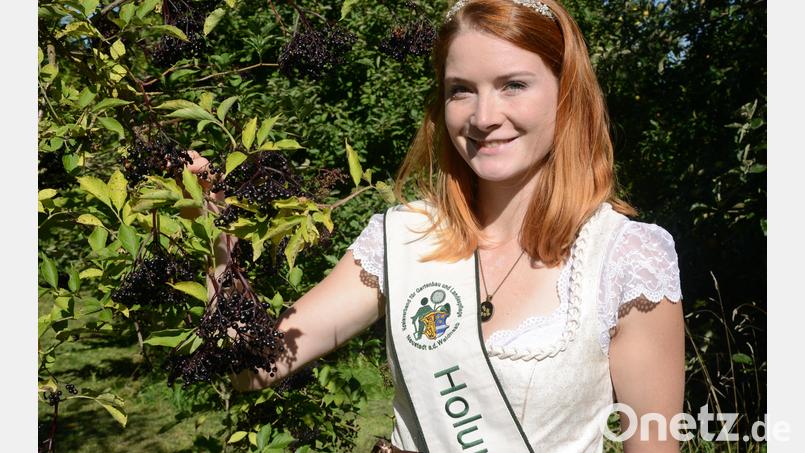 Die Holunderbeeren an Bäumen und Sträuchern auf der heimischen Streuobstwiese sind jetzt reif. Bild: bey