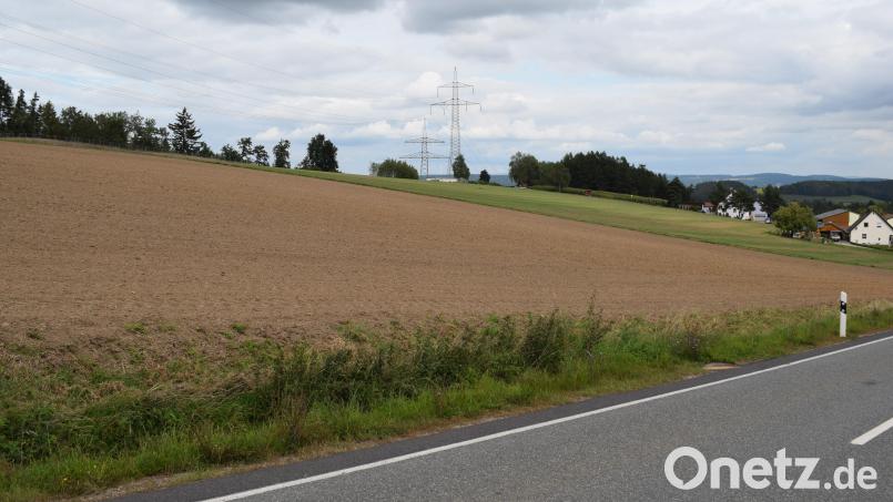 Auf einer Fläche von sechs Hektar westlich von Friedersdorf plant die Firma Greenovative den Bau einer PV-Freiflächenanlage. Bild: bnr