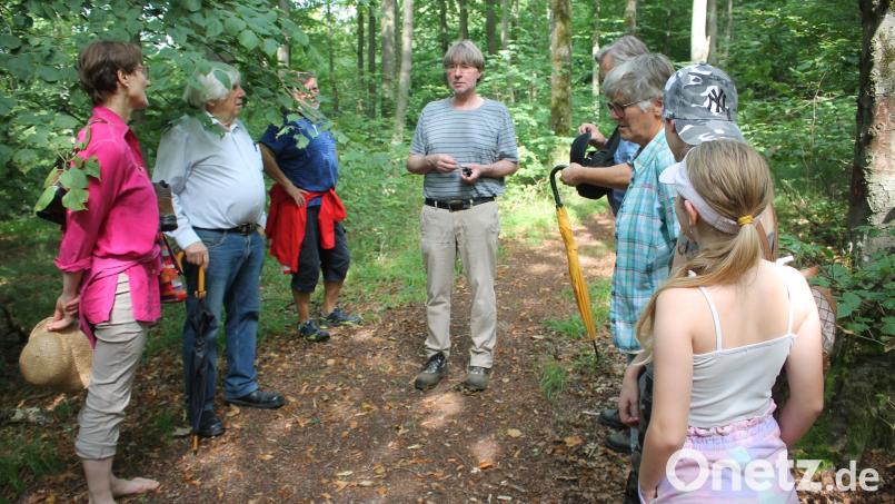 Der Damm der alten Basaltbahn trägt heute einen Wanderweg, ein &quot;englischer Garten&quot; sollte schon im 19. Jahrhundert Touristen ins &quot;Land am Kulm&quot; locken: Viel Vergessenes holten die von Hans Losert (Bildmitte) geleiteten 20 archäologischen Kampagnen am Rauhen Kulm ans Licht der Gegenwart. Bild: bjp