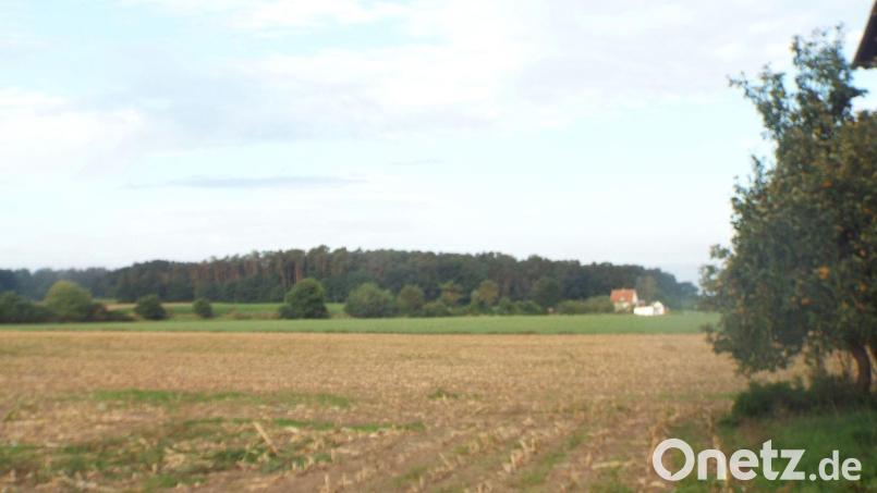 Eine Photovoltaikfreiflächenanlage in der Gemarkung Gärmersdorf soll errichtet werden , der geplante Solarpark liegt direkt an der Bahnstrecke Amberg-Schwandorf (Hintergrund), die Vorhabengrundstücke umfassen eine Fläche von rund 4,6 Hektar in Richtung ehemaliges Bahnhäusl (Hintergrund), die Scheune (rechts) bleibt stehen. Sie wird erhalten und mit PV-Modulen bedeckt. Bild: e
