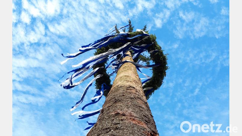 Ein Kirwabaum von unten. In Hirschau (Landkreis Amberg-Sulzbach) wurde zweimal der Kirwabaum gestohlen. Bild: ads