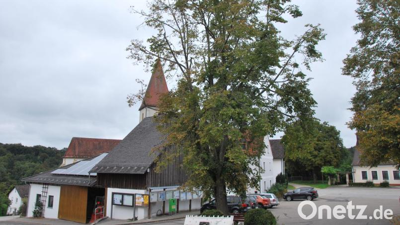 Linde am Dorfplatz in Ammerthal wird entfernt Bild: gsp