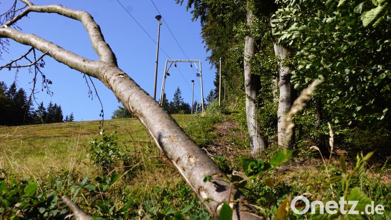Schwere Buchenäste sind auf die Seile der Liftanlage gefallen. Zur Seite wurden sie geschoben und sind nur noch am oberen Astbereich erkennbar. Bild: bkr