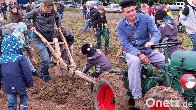 Die Kartoffelernte ist eine der Attraktionen beim &quot;Herbstzauber&quot; in Bad Neualbenreuth. Die 20. Auflage des Kartoffelfests wird am 1. Oktober gefeiert. Archivbild: Tourismusverein Bad Neualbenreuth-Sibyllenbad/Brigitte Meyer/exb