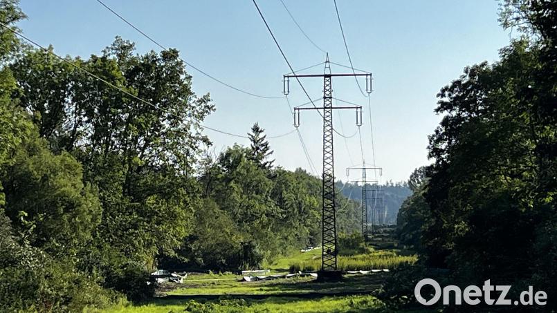 Die IG „Bahnstrom – so nicht!“ kritisiert die Pläne der Deutschen Bahn, Dutzende solcher Schneisen durch die nordostbayerischen Wälder zu schlagen. Bild: G. Pirner/exb