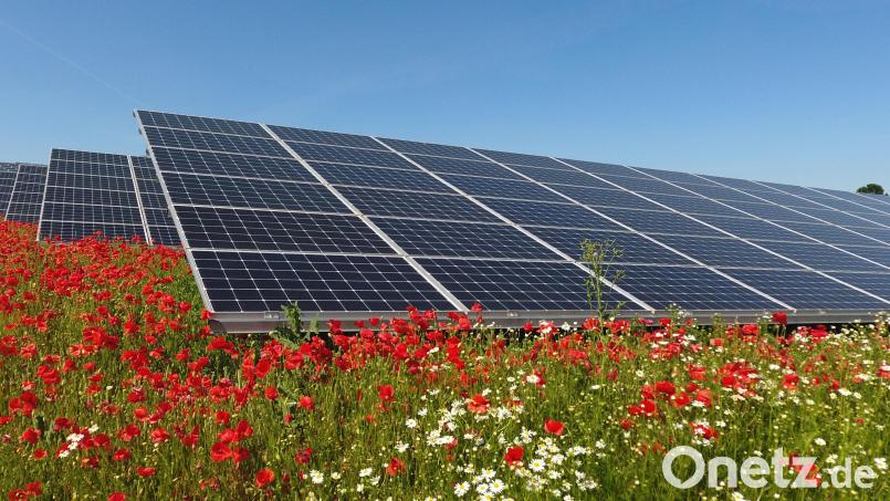 So oder so ähnlich könnte der geplante Solarpark in Wernersreuth aussehen. Durchlässige Zäune für Kleintiere sowie angelegte Blühwiesen für Bienen und andere Insekten gehören jedenfalls dazu. Bild: Südwerk Energie GmbH/exb