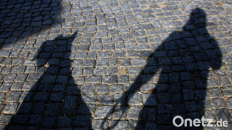 Die Hundesteuer beschäftigte in der jüngsten Sitzung den Stadtrat Waldsassen. Symbolbild: Ralf Hirschberger/dpa