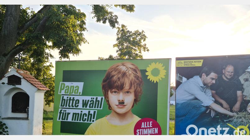Auf einem Wahlplakat wurde einem Jungen ein Bart angemalt. Für Sonja Reichold &quot;unmöglich&quot;. Bild: sne