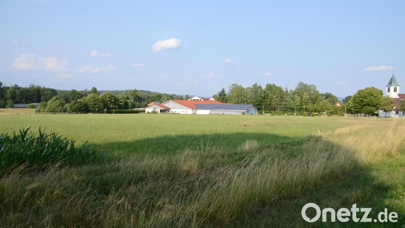 Der Gemeinderat hat den Bebauungsplan „Am Laibacher Weg“ für das Großprojekt der Ziegler-Group als Satzung beschlossen. Zusammen mit der bereits erhaltenen Baugenehmigung ist damit ein weiterer Schritt zur Umsetzung der geplanten 99 neuen Wohneinheiten gemacht. Archivbild: ak