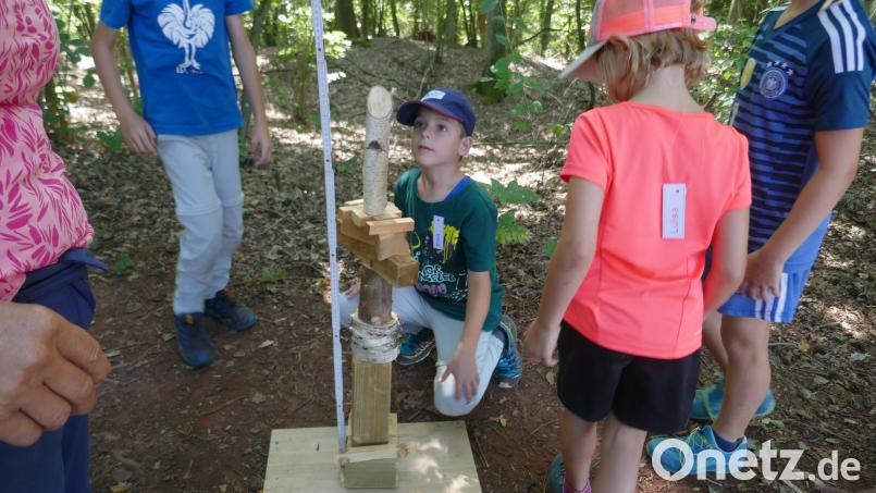 Ferienprogramm Bild: Bayerischer Waldverein/exb