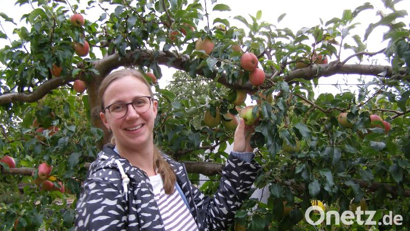 Johanna Härtl freute sich über die Äpfel, die im Naturerlebnisgarten entlang des Hauptweges gewachsen sind. Denn insgesamt ist die Obsternte dieses Jahr nicht besonders reichlich ausgefallen. Bild: pz