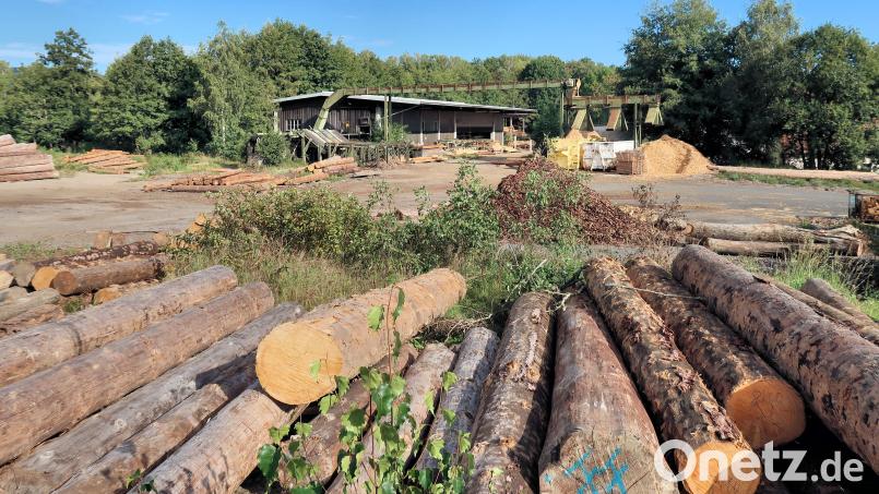 Die Güterverwaltung Friedenfels plant auf dem großen Areal des Sägewerks ein Chalet-Dorf. Bild: bsc