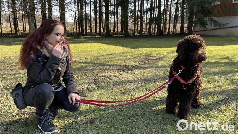 Laura Prosch aus Illschwang mit ihrem Assistenzhund Wilma. Archivbild: Marina Gube