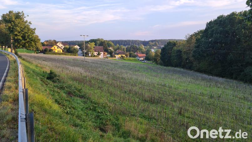 Im Norden von Hammerles plant Witron eine kleine Siedlung für ihre Mitarbeiter. Bild: sne