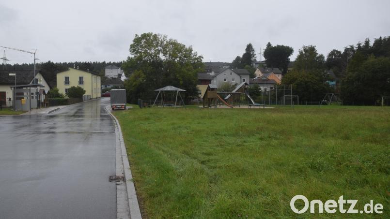 Würde jemand auf der bebaubaren Wiese mitten in Trebsau ein Vierfamilienwohnhaus zehn Meter neben dem weitläufigen gemeindlichen Kinderspielplatz mit etwa 400 Quadratmeter Wohnfläche bauen, müsste er nach der Bayerischen Bauordnung einen Kinderspielplatz errichten. Bild: fz