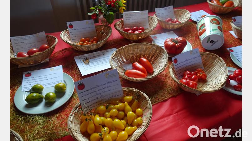 Bei der Ausstellung „Sonnenkind und Nachtschatten“ gab es Tomaten sich in allen Farben und Formen. Bild: bas