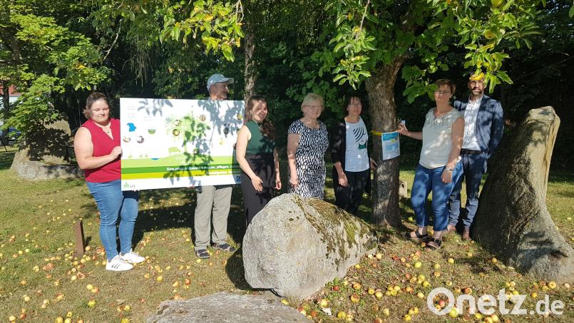 Einzelne Obstbäume der Gemeinde tragen ab sofort ein gelbes Band. Dort darf von Jedem Obst geerntet werden. Beim Ortstermin stellt Bürgermeister Armin Bulenda (rechts) die Aktion vor. Bild: gi
