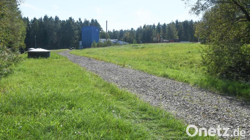 Wenn die geforderten Gutachten positiv ausfallen und die Gemeinde Weiherhammer zustimmt, könnte auf dieser Fläche die neue Bioabfall-Vergärungsanlage entstehen. Bild: Gabi Schönberger
