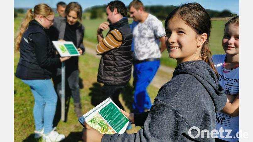 Wohin gehört das Schild? Siebtklässler der Doktor-Eisenbarth-Mittelschule und Mitarbeiter der Naab-Werkstätten stellen gemeinsam die Pflanzensteckbriefe am Biodiversitäts-Pfad im Industriegebiet West auf. Bild: Portner