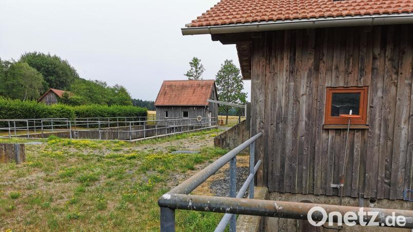 Die Nachrüstung der Kläranlage Gaisthal ist der wichtigste Punkt auf der Agenda des Stadtrats Schönsee. Archivbild: Portner