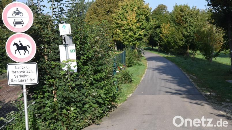 Der Marktgemeinderat Schmidmühlen wendet sich dagegen, dass der neu ausgebaute Radweg im Lauterachtal zur Verlegung eines DSL-Kabel aufgegraben wird. Er empfiehlt stattdessen, das Kabel im Bankett der Staatsstraße 2235 im Lauterachtal unter die Erde zu bringen. Bild: bö