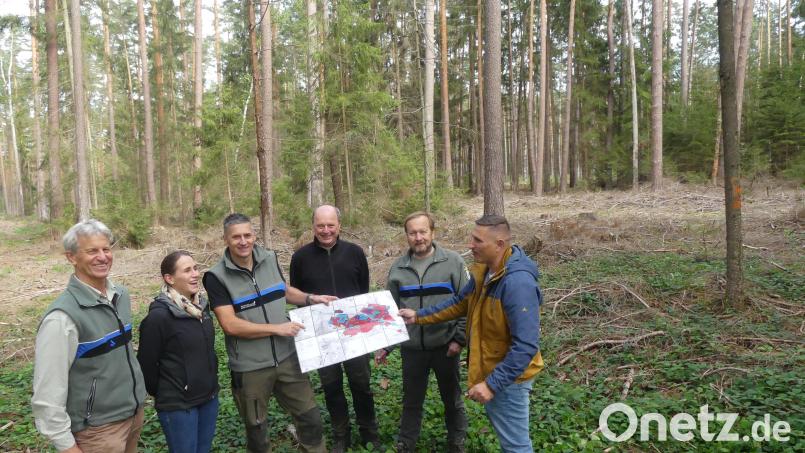 Im Bereich Birschling musste der gesamte Fichtenbestand entnommen werden. Martin Gottsche zeigt (rechts) weitere gefährdete Bereiche. Gerhard Hösl (links) forderte daher eine vorbildliche Waldbewirtschaftung Bild: rn
