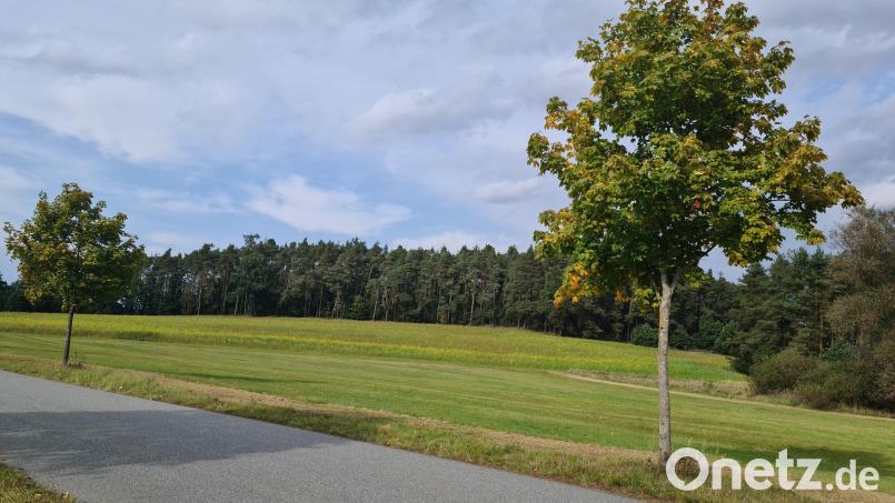 Wegen Naturschutzauflagen beschließt der Stadtrat Änderungen am Baugebiet &quot;Steinfelser Straße&quot;. Bild: sne