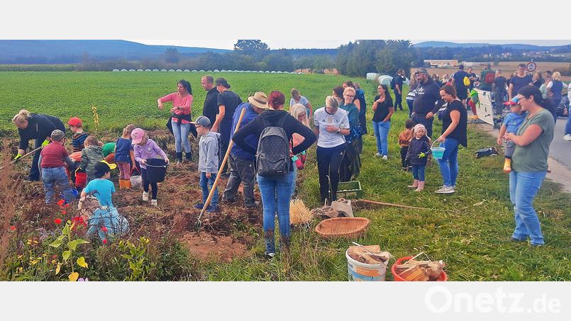 Ein Foto wie es früher üblich war: Kartoffelernte im Herbst. Bild: ld