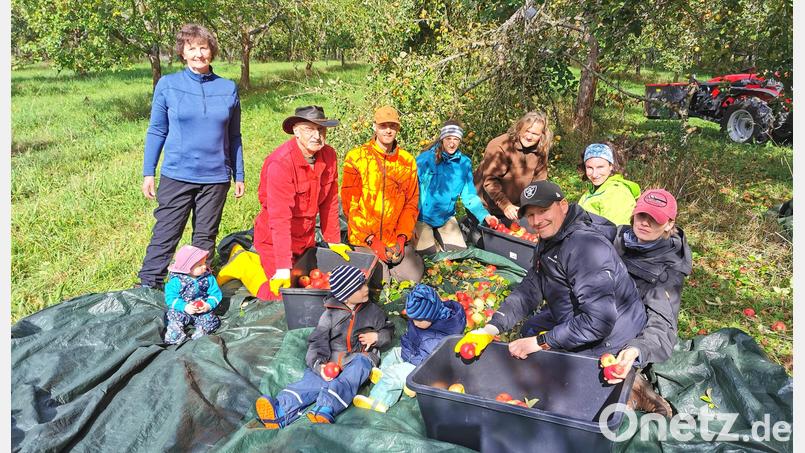 Gabi und Günter Gilch freuen sich, dass die Kinder und Enkel bei der Apfelernte fleißig mithelfen. Bild: Portner