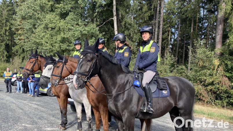 Vier Pferde und ihre Reiterinnen bilden die Unterstützung bei Polizeikontrollen gegen illegale Einwanderung an der tschechischen Grenze. Bild: Stefanie Swann