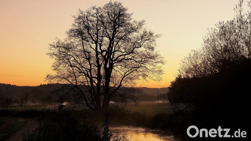 Typisches Herbstwetter erwartet uns die kommenden Tage. Bild: Petra Hartl