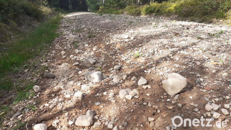 Zum Radfahren ungeeignet - eine Schotterpiste im Wald bei Weiden entlang der B 470. Bild: Riedlbauer/exb
