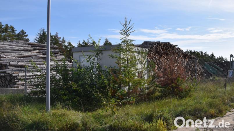 Der Marktgemeinderat Hohenburg ändert den Bebauungsplan SO-Solar aus dem Jahr 2011. Die dortige Klärschlammtrocknungsanlage soll zu einer Holztrocknungsanlage umgerüstet werden. Große Mengen Holz sind dort bereits gelagert. Bild: bö