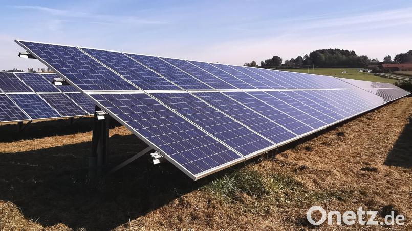 Ein weiteres Solarfeld bei Hof wurde mit dem Bürgerentscheid am 31. Juli 2022 abgelehnt. Vor dem Schwandorfer Amtsgericht war die Auseinandersetzung um das Projekt Hintergrund eines Zivilverfahrens. Bild: Portner