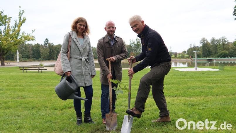 Matthias Loew mit zwei seiner Helfer beim Buddeln. Bild: Kunz