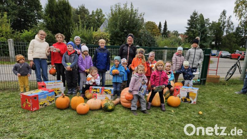23 Kürbisgärtner, darunter viele Kinder, nahmen am Kürbiswettbewerb des OGV Schönkirch teil. Insgesamt brachten alle Kürbisse ein Gewicht von 225,7 Kilogramm auf die Waage. Bild: Obst- und Gartenbauverein Schönkirch/exb