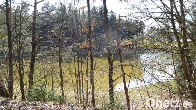 Der Marktgemeinderat Eslarn stimmt der Erteilung der wasserrechtlichen Erlaubnis für eine Fischweiheranlage zu. Symbolbild: wec
