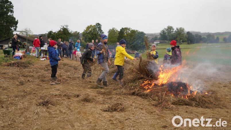 Nicht fehlen darf im Herbst das Kartoffelfeuer nach der Kartoffelernte am Steffelbauernfeld in Frankenrieth Bild: fvo