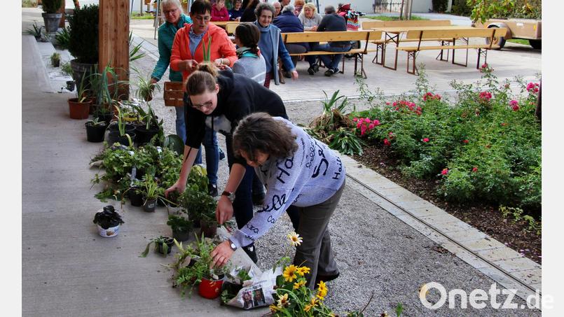 Die Auswahl an Blüten und Grünzeug wechselte ständig, weil immer wieder Neues hinzu kam und zum Tausch bereitgestellt wurde. Bild: ds