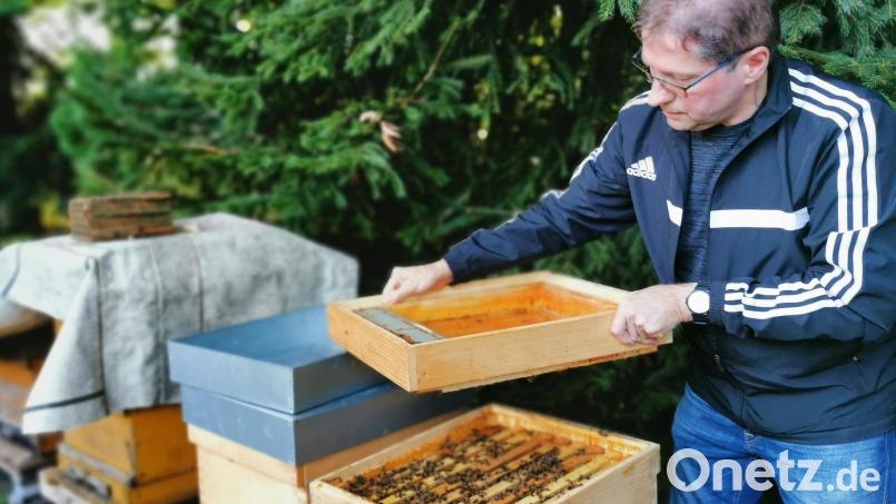 Fit für den Winter: Imker Michael Völkl deckt die Bienenkästen im Garten mit Blechhaube oder Plane ab und hängt einen Futtertrog mit Fertigsirup ein. Bild: Portner