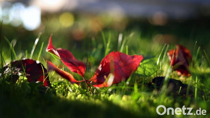Bye bye, Sommertemperaturen! Mitte Oktober herbstelt es dann doch etwas, sagt Wetterexperte Andy Neumaier. Symbolbild: Karl-Josef Hildenbrand/dpa
