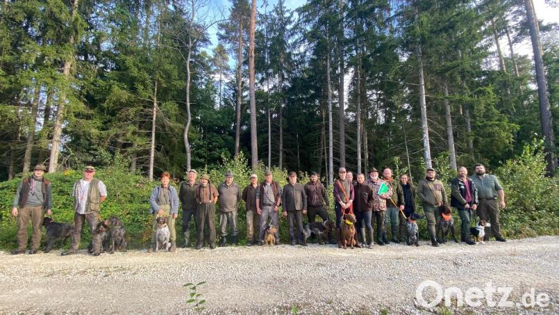 Zehn Hunde traten zur Gesellenprüfung an. Alle bestanden die schweren Aufgaben. Bild: ge