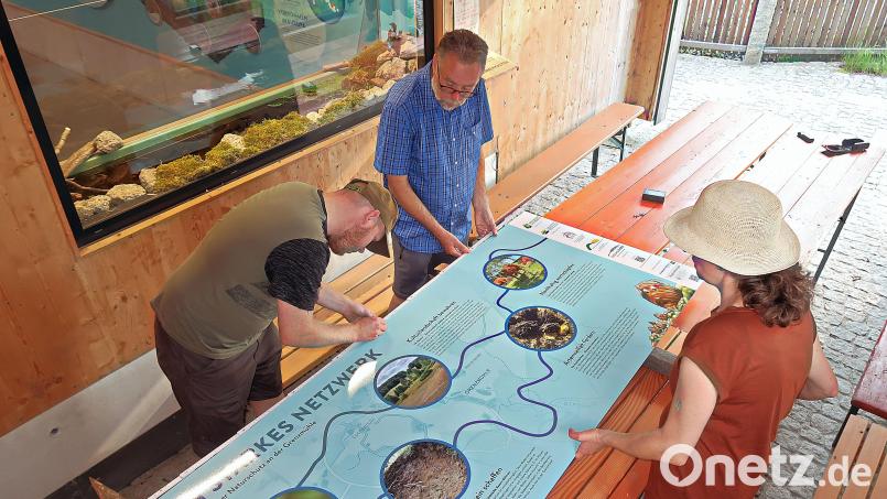 Große Informationstafeln geben Auskunft über den Naturschutz im Bereich Grenzmühle. Im Bild (von links) Naturpark-Ranger Jonas Ständer, Robert Mertl vom Verein Kulturlandschaft südlicher Steinwald und Naturpark-Geschäftsführerin Elisabeth Frank. Bild: bsc