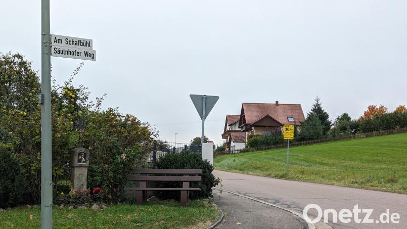 In einem Sechs-Parteienhaus im Säulnhofer Weg leben ab November Asylbewerber. Bild: wrl